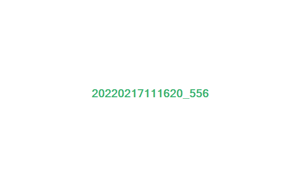 99006冰膚珠地T恤