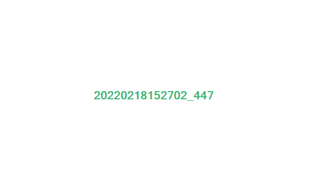 95006絹絲珠地T恤